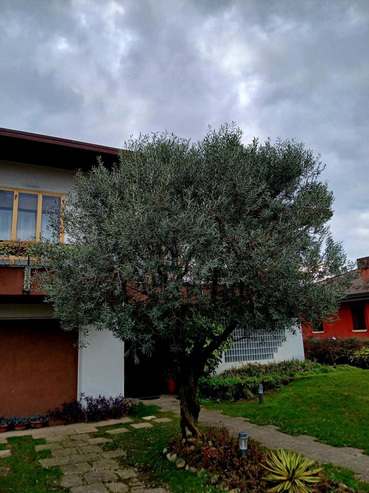 B&B Ponte Marchese Caldogno Kültér fotó