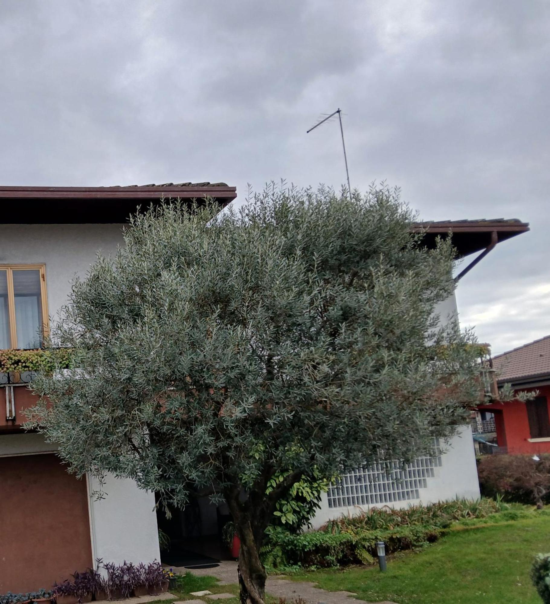 B&B Ponte Marchese Caldogno Kültér fotó